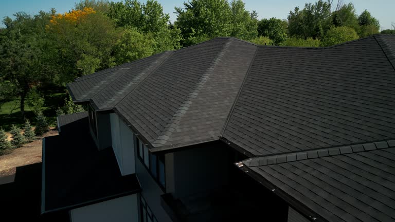 Best Sheet Metal Roofing  in Pierz, MN