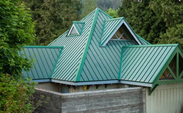 Best Metal Roofing Installation  in Pierz, MN