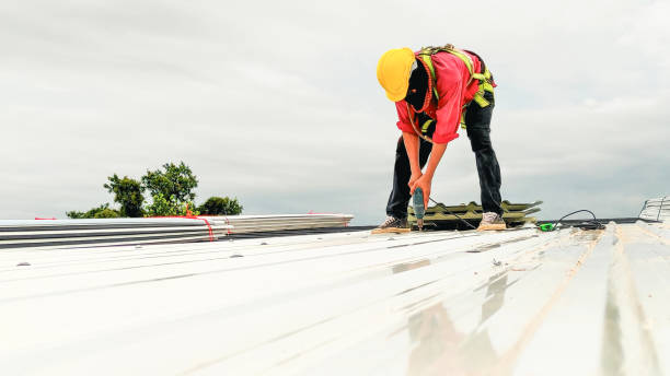 Best Rubber Roofing (EPDM, TPO)  in Pierz, MN