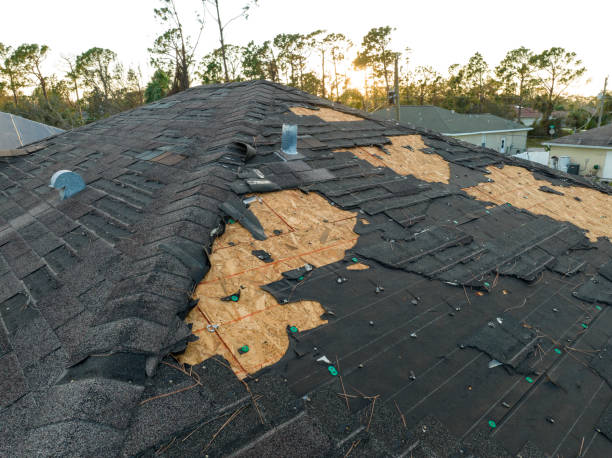 Best Roof Waterproofing  in Pierz, MN